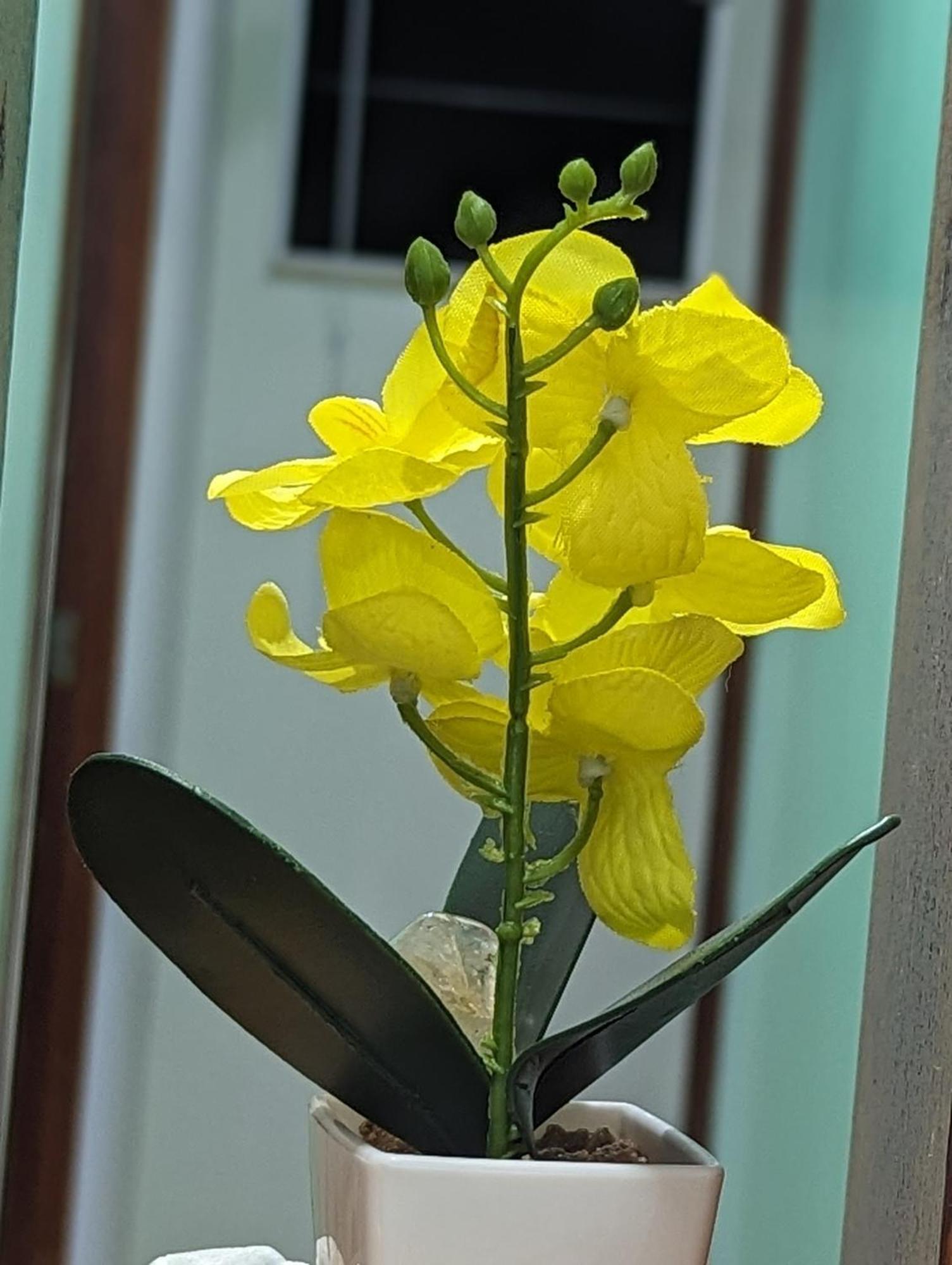 Willa Bernardini House Cabo Frio Zewnętrze zdjęcie